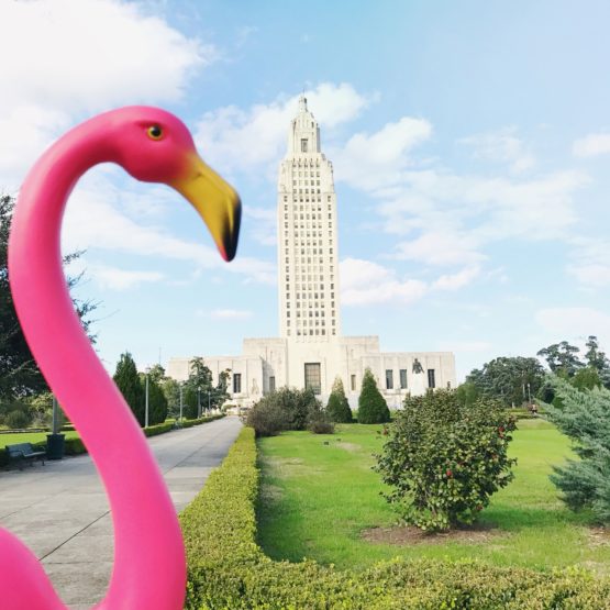 Your list of 30 Things To Do In Baton Rouge this February! Mardi Gras, Valentine's Day and Baseball Season!!!