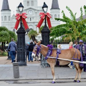 A Holiday Travel Guide to New Orleans